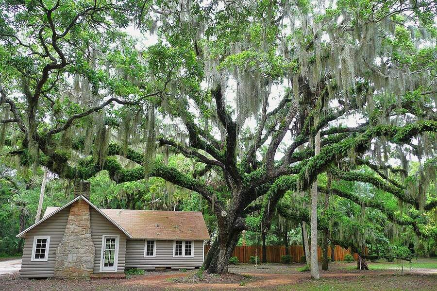 Washington Oaks Gardens State Park near Palm Coast, Florida